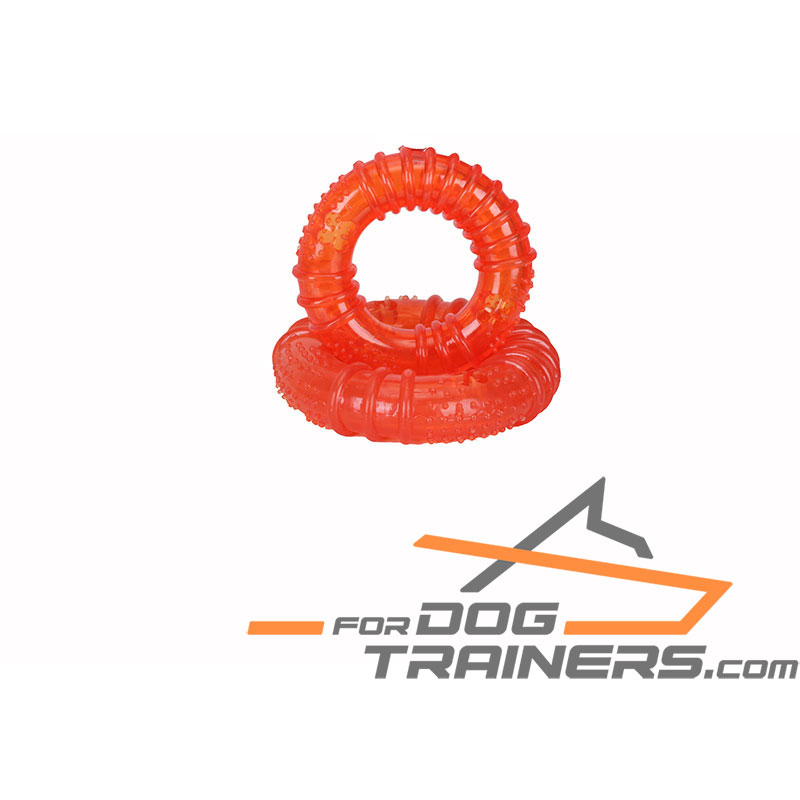 Quality Dog Treat Dispenser for Having Fun