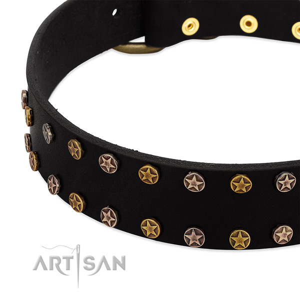 Significant decorations on full grain natural leather collar for your dog