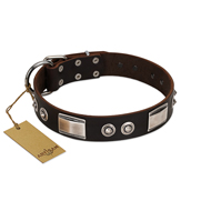 "Baller Status" FDT Artisan Brown Leather Great Dane Collar Adorned with a Set of Chrome Plated Studs and Plates