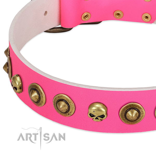 Significant studs on leather collar for your dog
