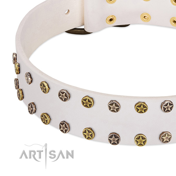 Exceptional embellishments on genuine leather collar for your doggie