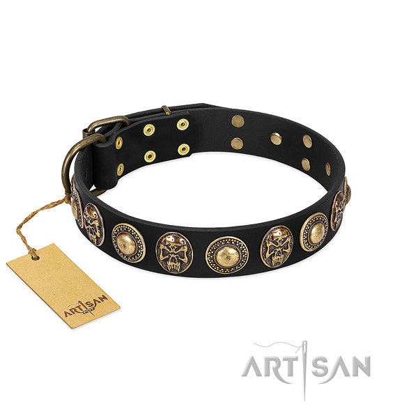 Easy to adjust genuine leather dog collar for stylish walking your canine