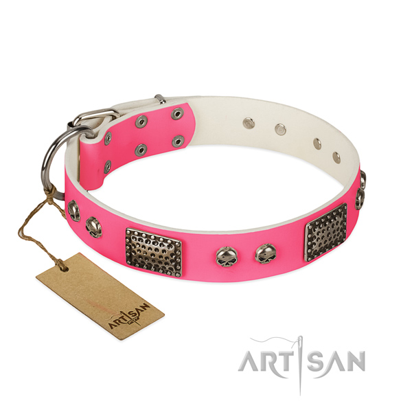 Easy to adjust leather dog collar for walking your four-legged friend