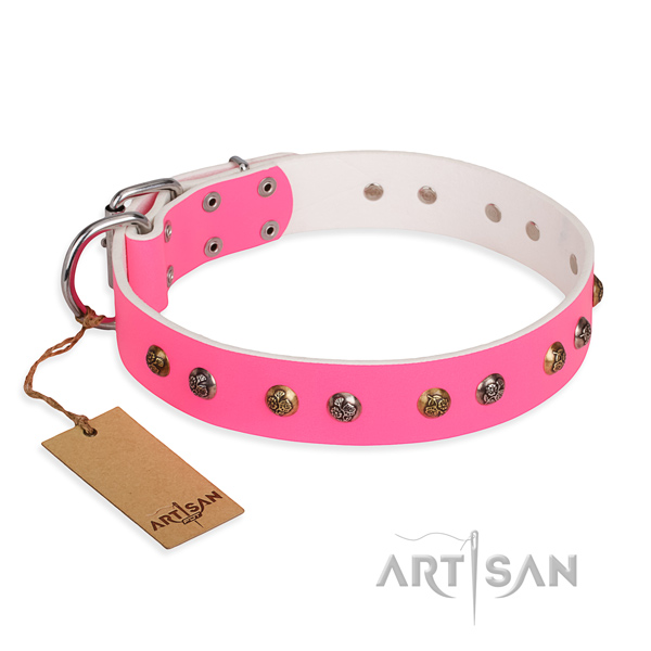 Everyday use remarkable dog collar with rust-proof traditional buckle