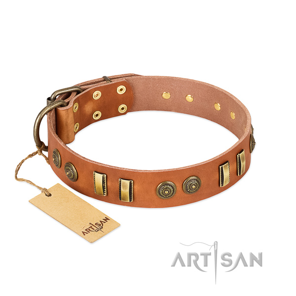 Rust resistant hardware on leather dog collar for your canine