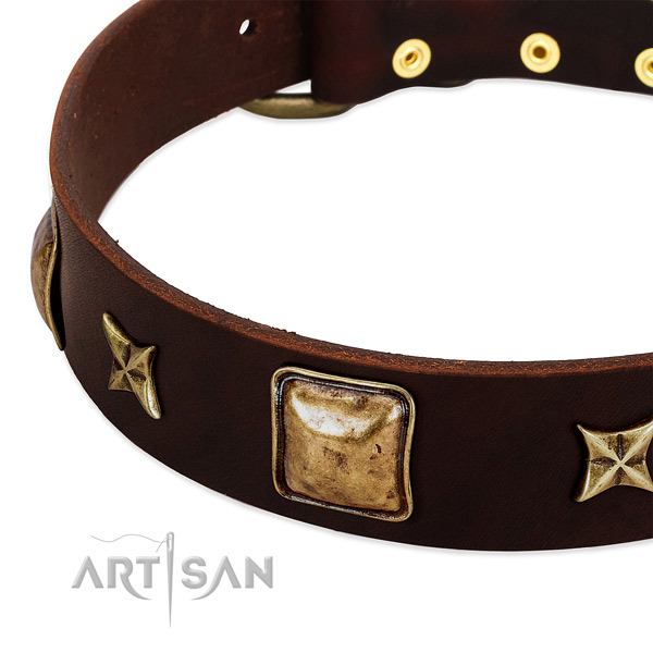 Strong fittings on full grain genuine leather dog collar for your dog