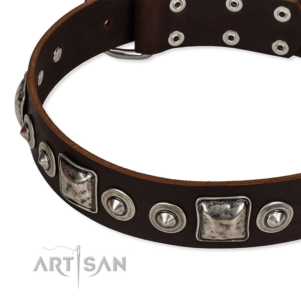 Reliable genuine leather dog collar created for your stylish four-legged friend