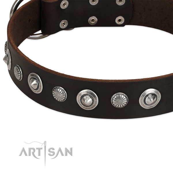 Designer studded dog collar of fine quality natural leather