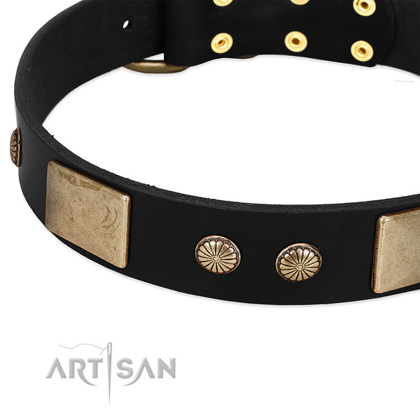 Genuine leather dog collar with studs for easy wearing