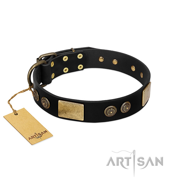 Corrosion resistant traditional buckle on full grain natural leather dog collar for your dog