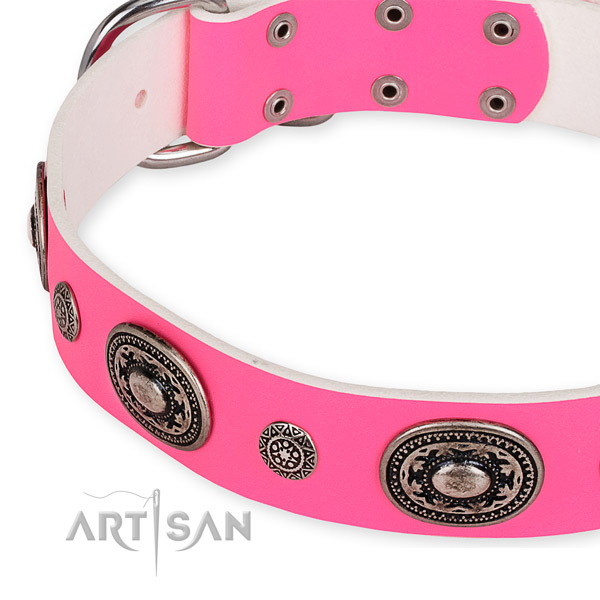 Natural genuine leather dog collar with unusual strong studs