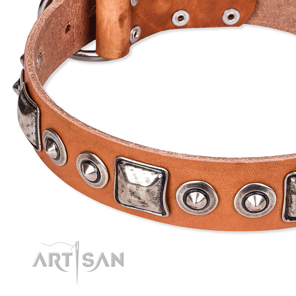 Soft to touch genuine leather dog collar crafted for your lovely doggie