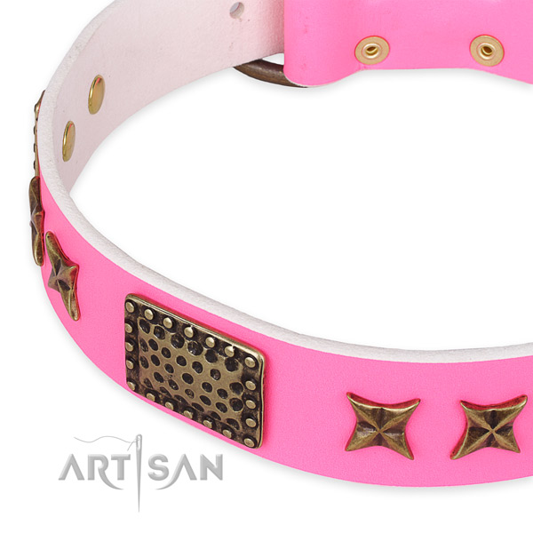 Full grain genuine leather collar with corrosion proof buckle for your attractive pet