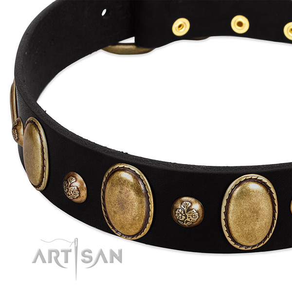 Genuine leather dog collar with stylish decorations