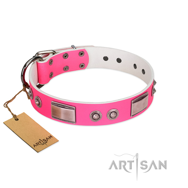 Easy wearing full grain leather collar with studs for your canine