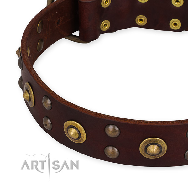 Full grain leather collar with rust-proof traditional buckle for your attractive canine