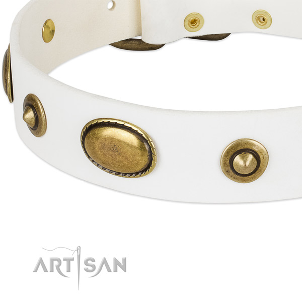 Corrosion resistant adornments on genuine leather dog collar for your pet