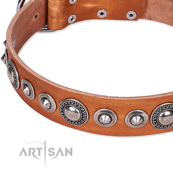 Everyday walking adorned dog collar of finest quality full grain leather