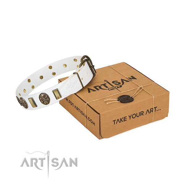 Strong fittings on genuine leather dog collar for everyday use