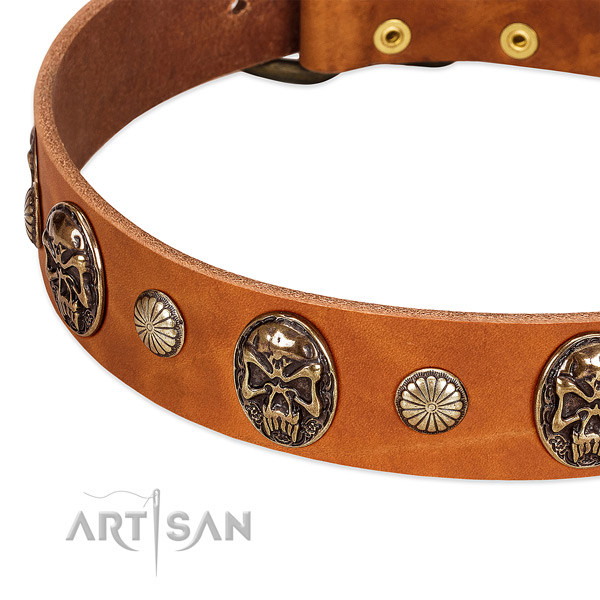 Rust-proof adornments on leather dog collar for your four-legged friend