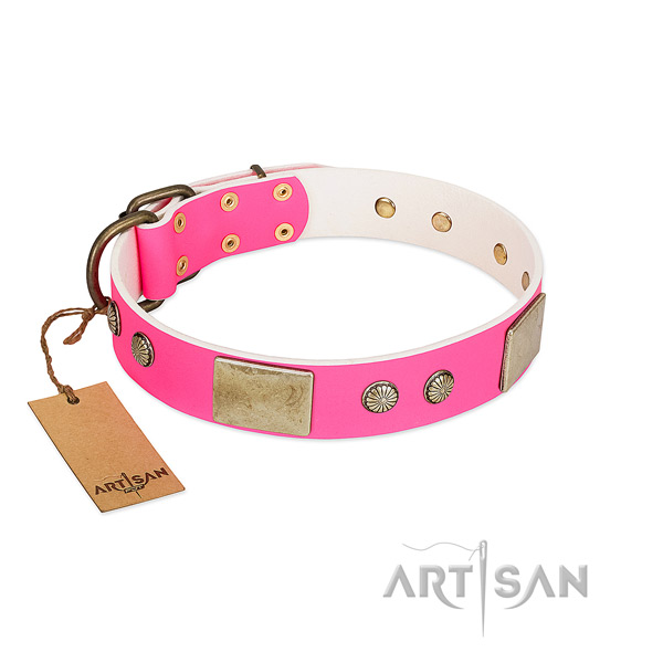 Easy adjustable full grain genuine leather dog collar for walking your pet