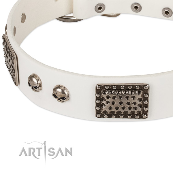 Corrosion resistant embellishments on natural genuine leather dog collar for your canine