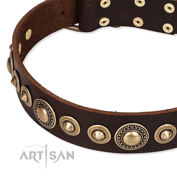 Best quality natural genuine leather dog collar handcrafted for your handsome pet