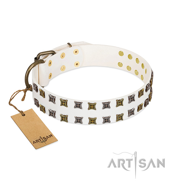 Quality full grain natural leather dog collar with adornments for your doggie