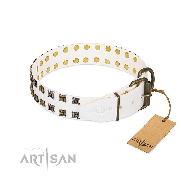 Leather collar with trendy decorations for your doggie
