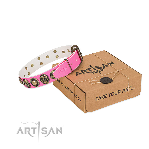 Rust-proof traditional buckle on dog collar for stylish walking