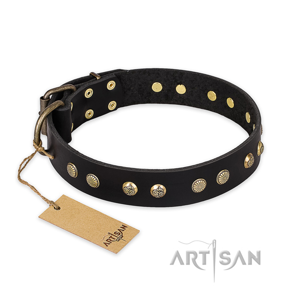 Designer genuine leather dog collar with rust-proof hardware