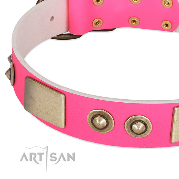 Strong buckle on leather dog collar for your doggie