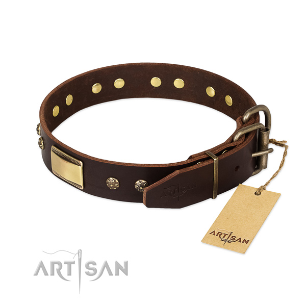 Remarkable genuine leather collar for your dog