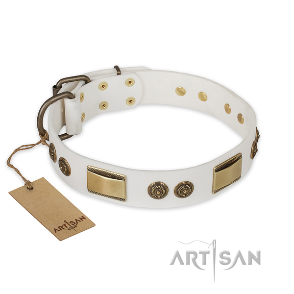 Unusual leather dog collar for fancy walking