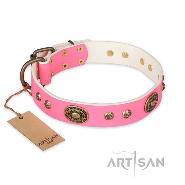 Remarkable leather dog collar for walking