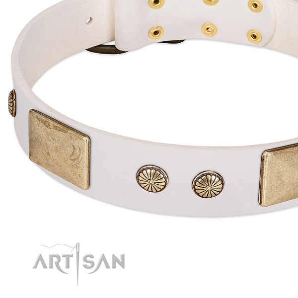 Strong adornments on leather dog collar for your canine