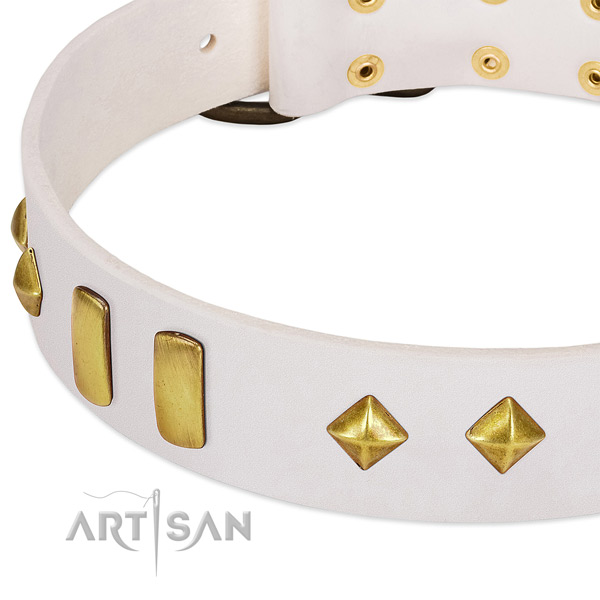 Everyday walking full grain natural leather dog collar with stunning embellishments