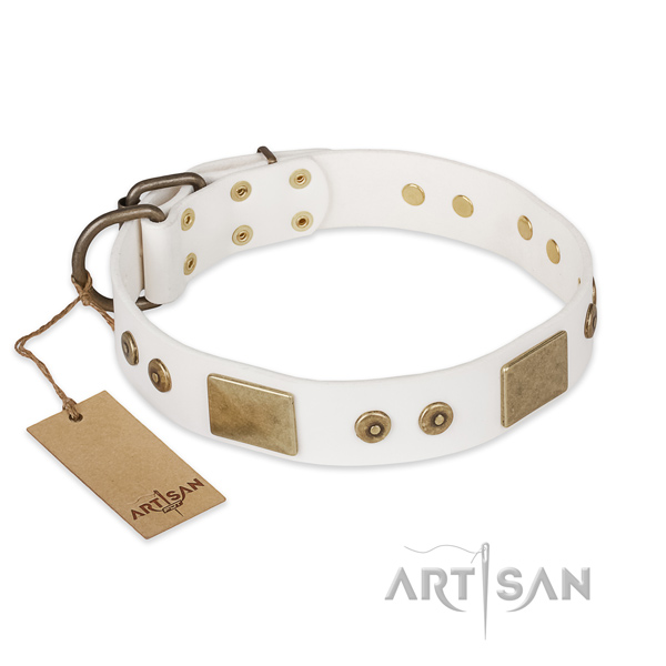 Perfect fit full grain genuine leather dog collar for handy use