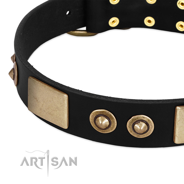 Durable decorations on leather dog collar for your doggie