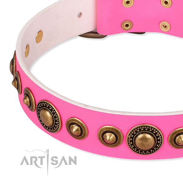 High quality full grain genuine leather dog collar created for your attractive pet