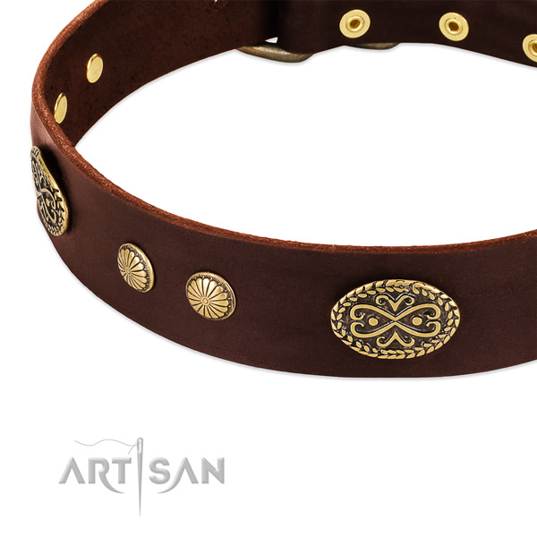 Rust-proof adornments on leather dog collar for your doggie