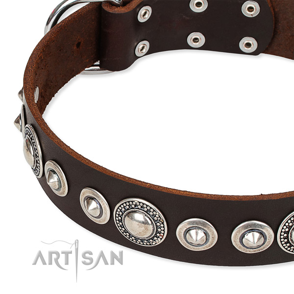 Comfy wearing studded dog collar of durable full grain natural leather