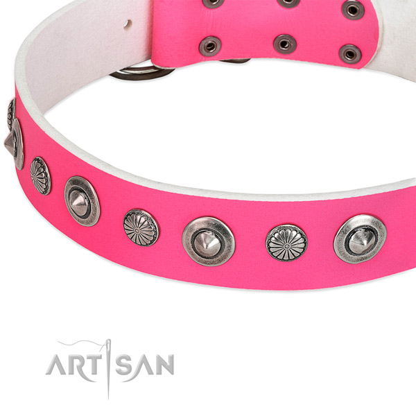 Genuine leather collar with rust-proof D-ring for your attractive four-legged friend
