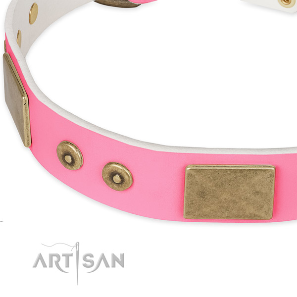 Leather dog collar with adornments for stylish walking