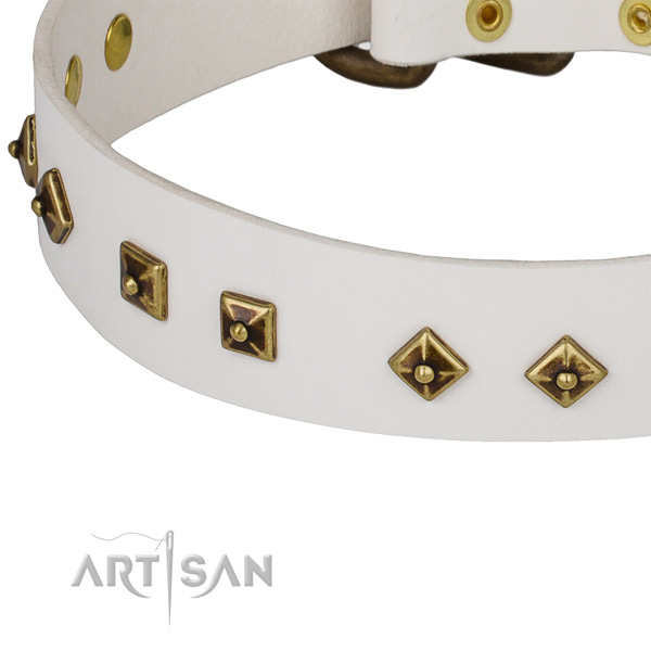 Embellished genuine leather collar for your impressive dog