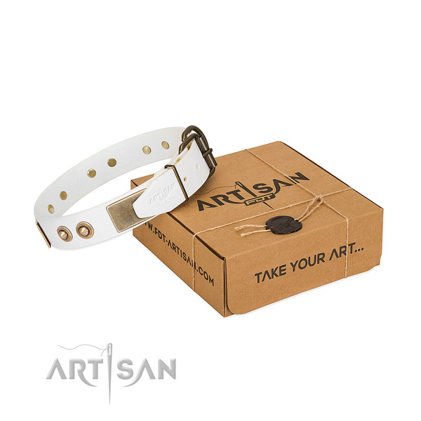 Strong traditional buckle on leather dog collar for your doggie