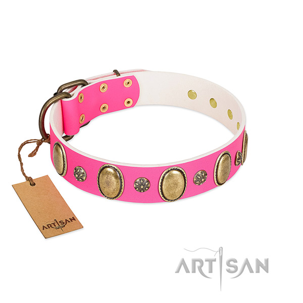 High quality genuine leather dog collar with rust resistant hardware