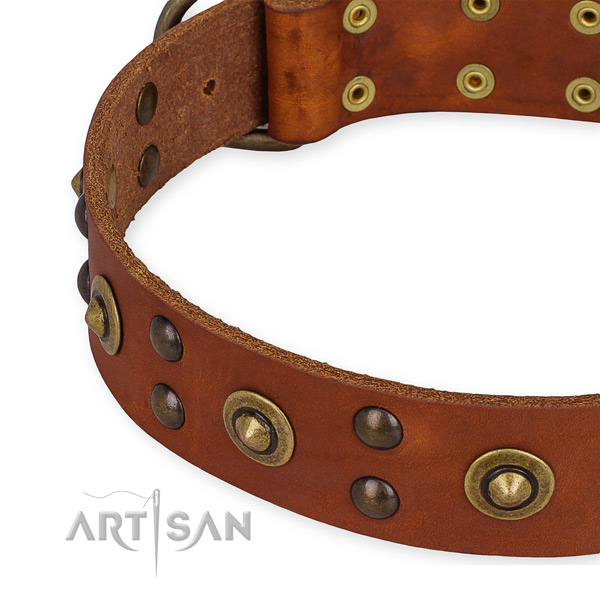 Genuine leather collar with reliable D-ring for your handsome pet