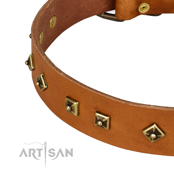 Exquisite natural leather collar for your impressive dog