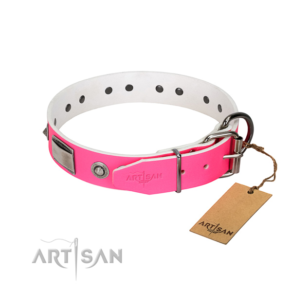 Stylish natural leather collar with embellishments for your dog